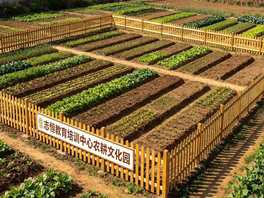 攀枝花信誉好的叛逆孩子改变学校,家长如何理性选择