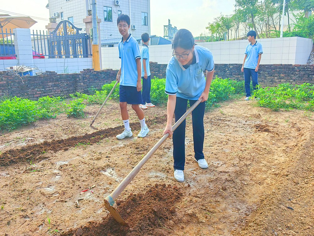 攀枝花教育不听话孩子的学校联系电话与择校指南